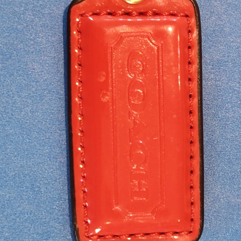 Coach Key*luggage Chain